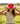 Cool It Cowboy Trucker Hat - Lunabelle West