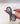 Emmet Bow Claw Clip - Lunabelle West