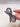 Emmet Bow Claw Clip - Lunabelle West
