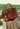 Warrenton Leather Handbag - Lunabelle West