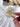 Cottage Hair Clip - Lunabelle West