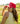 Cool It Cowboy Trucker Hat - Lunabelle West