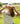 Howdy Darlin' Hat - Lunabelle West