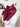 Ruby Wild Rag - Lunabelle West