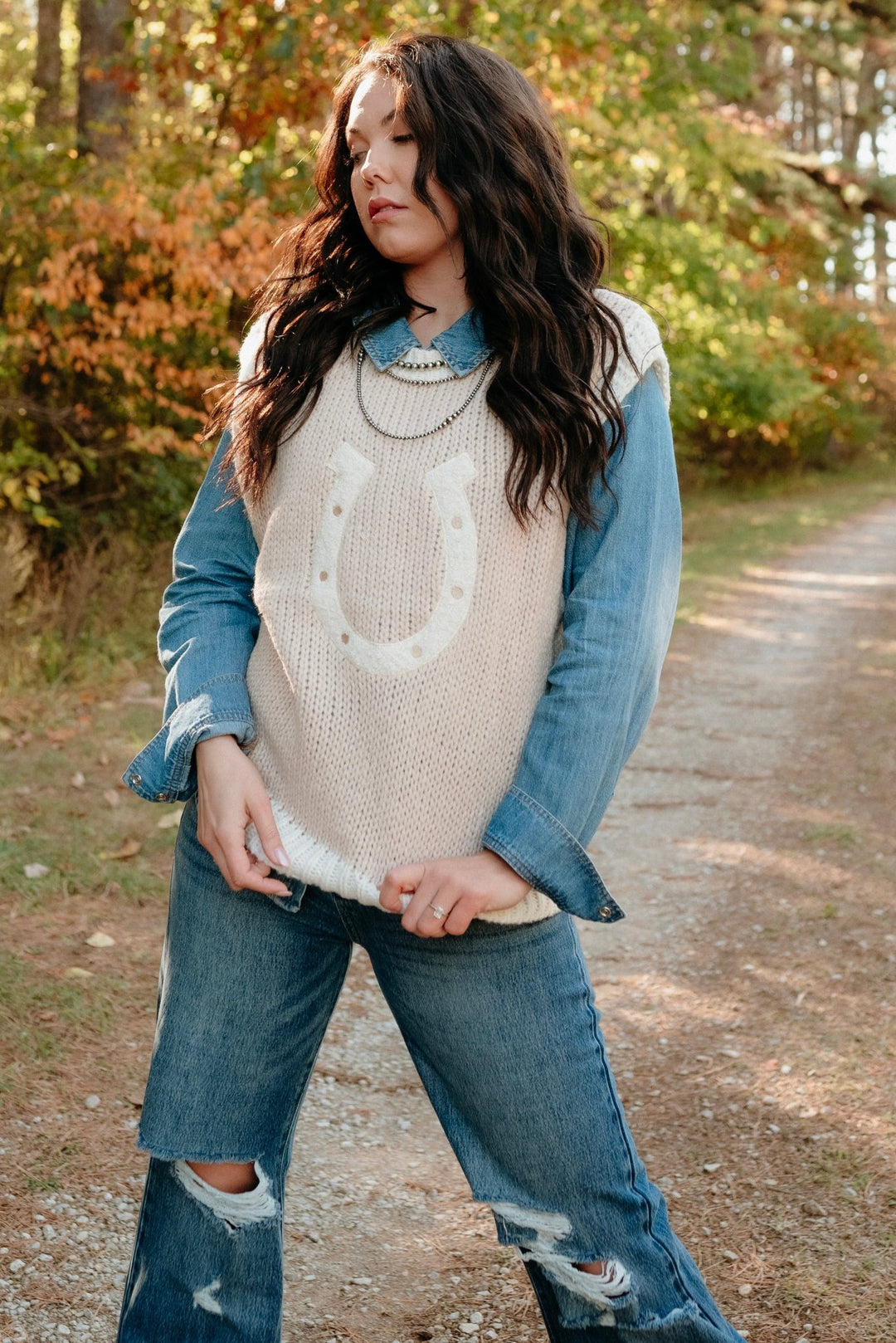 Woven Horseshoe Sweater Vest - Lunabelle West