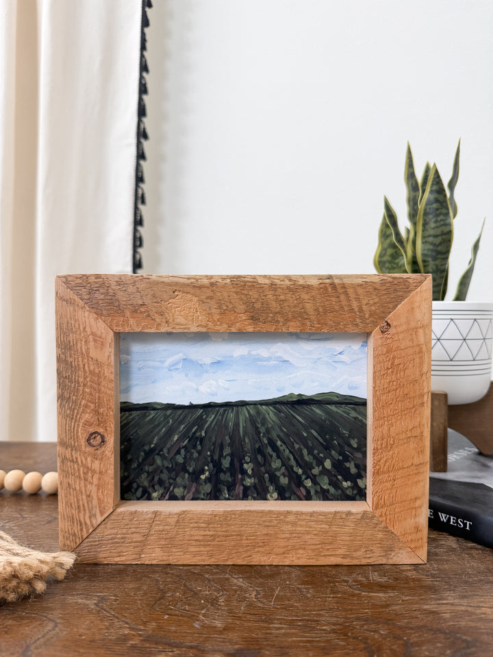 Farmer's Field Framed Artwork