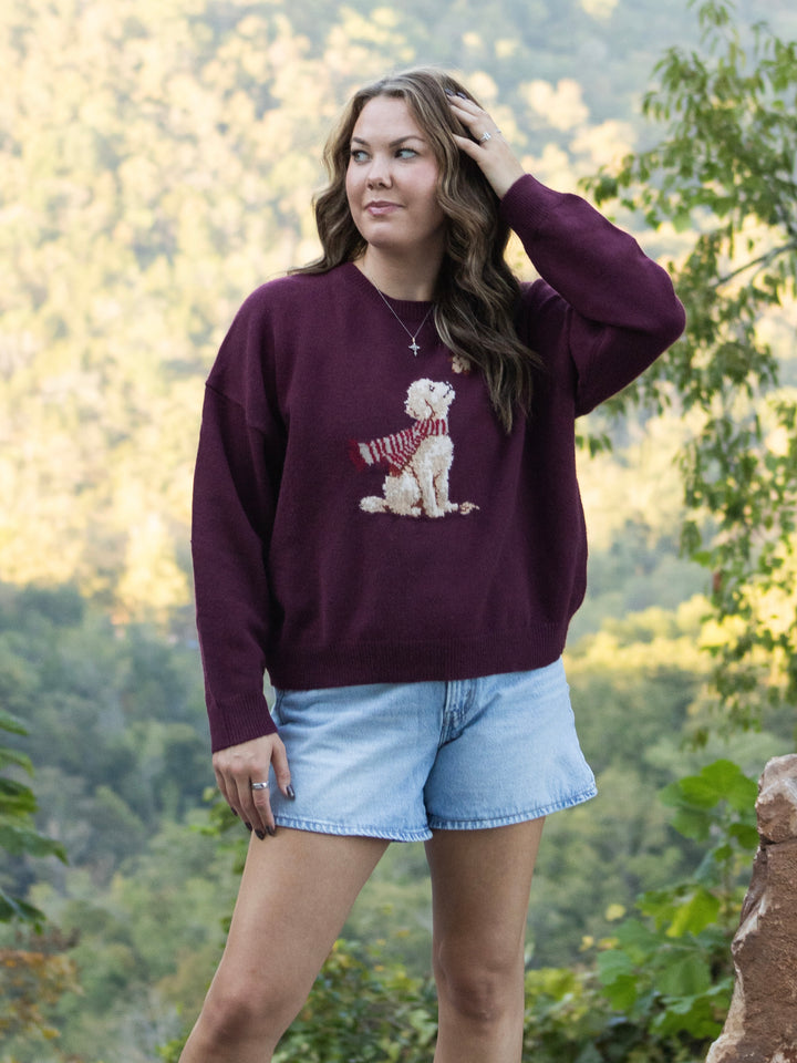 Fireside Companion Sweater