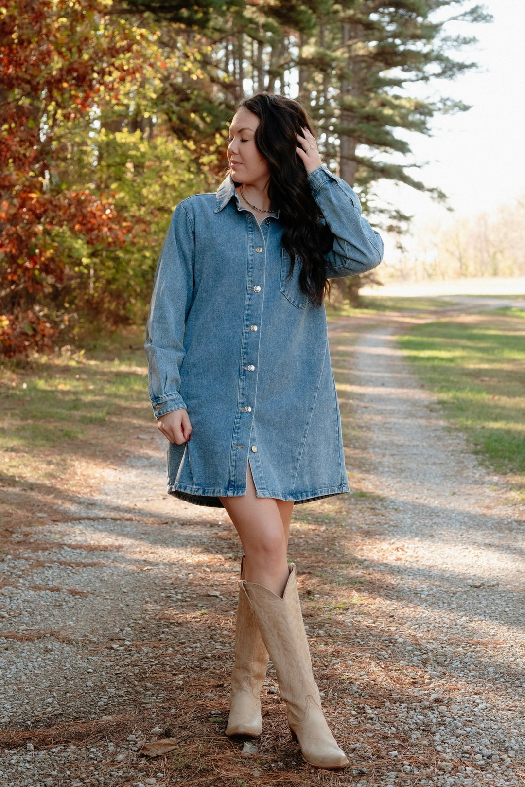 Tipton Denim Shirt Dress - Lunabelle West