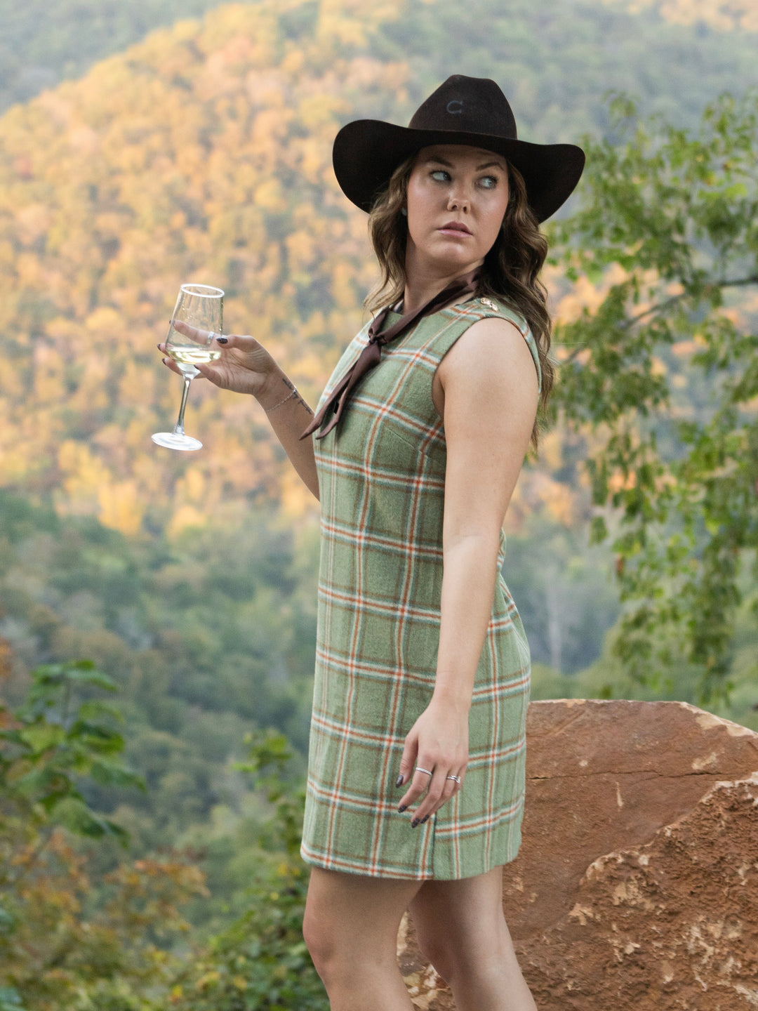 Cedar House Plaid Dress