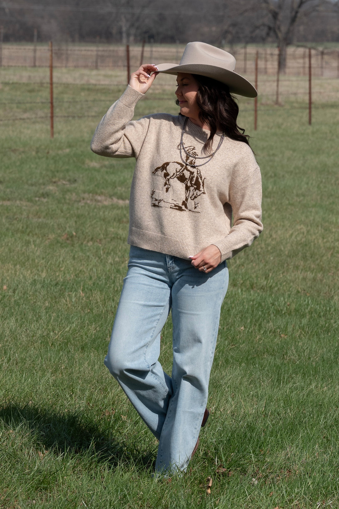 Bronc Knit Sweater