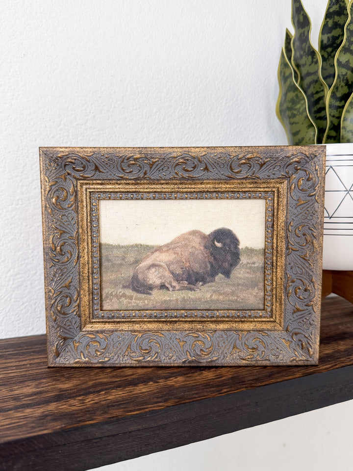 Prairie Bison Framed Canvas