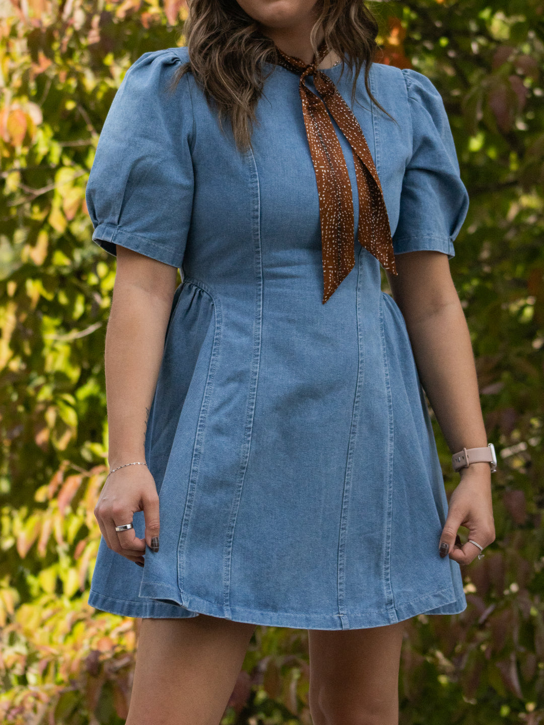 Blue Ridge Denim Dress