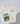 Farm Traditions Tractor Pocket Tee