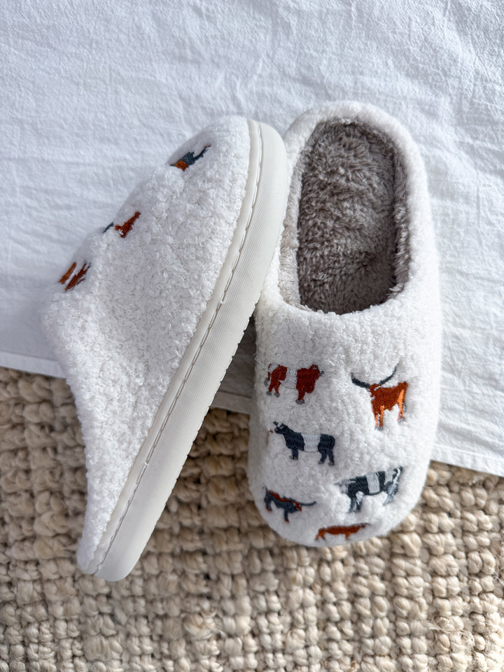 Cattle Country Slippers