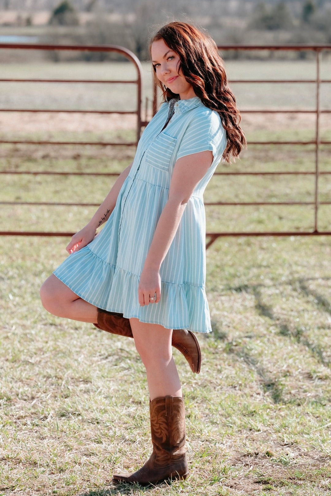 Irving Button Down Dress - Lunabelle West