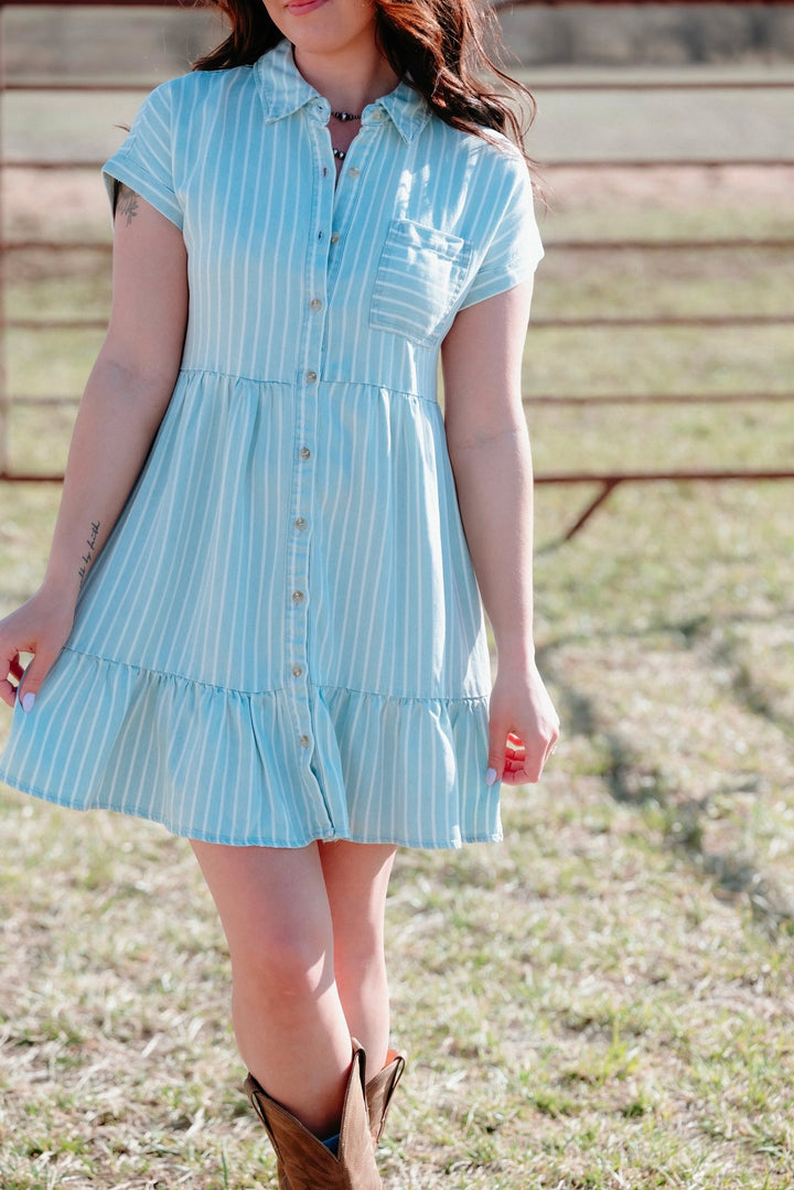 Irving Button Down Dress - Lunabelle West