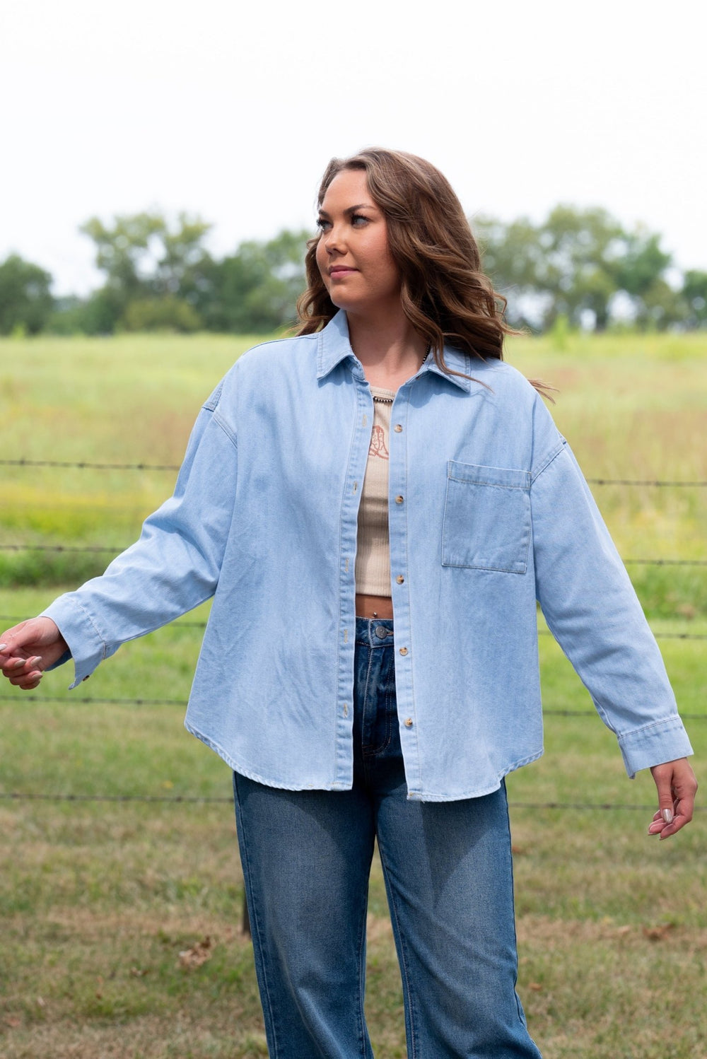 Collins Denim Button Down - Lunabelle West