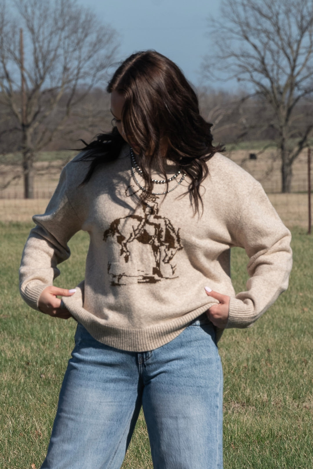 Bronc Knit Sweater