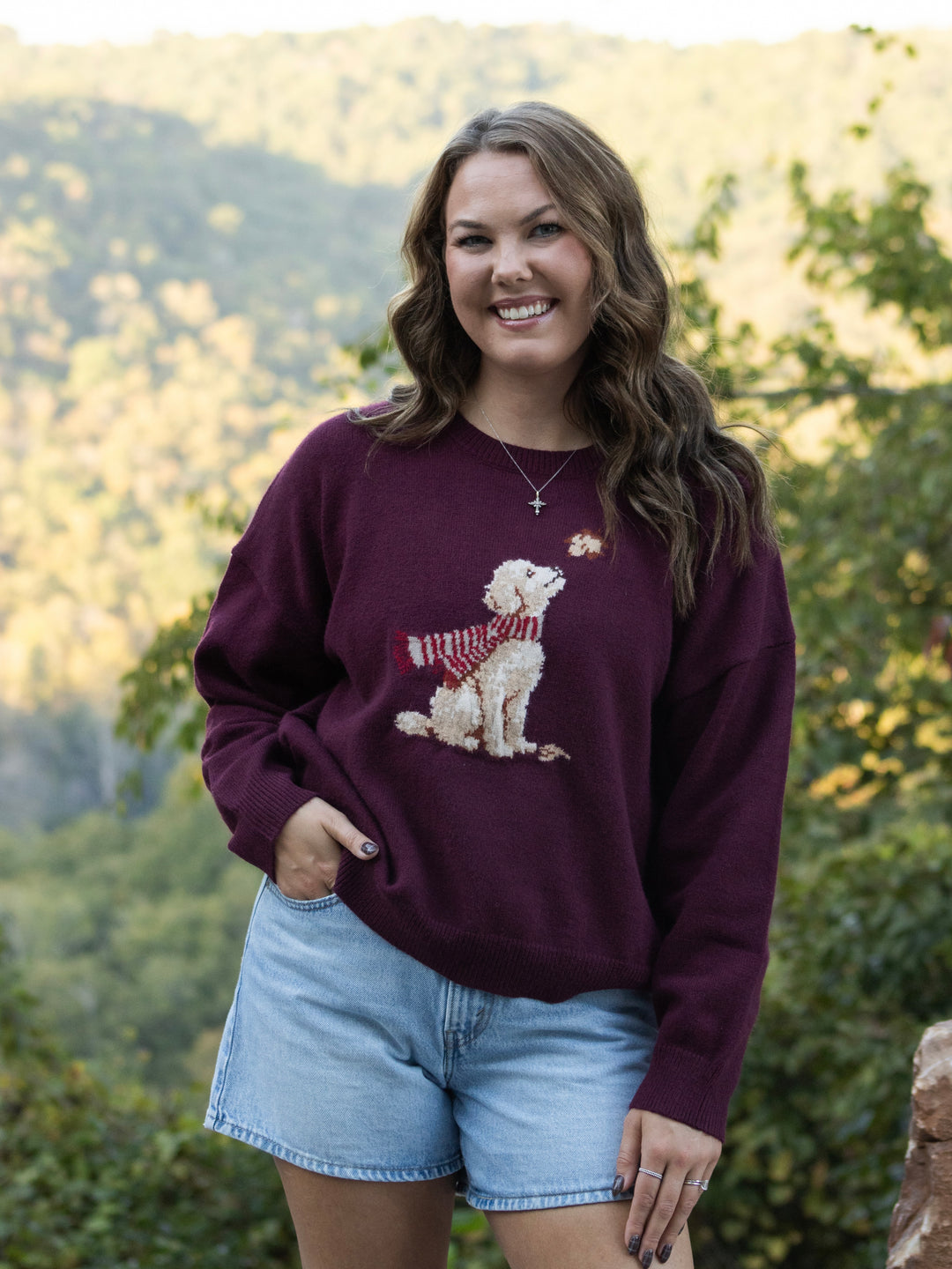 Fireside Companion Sweater