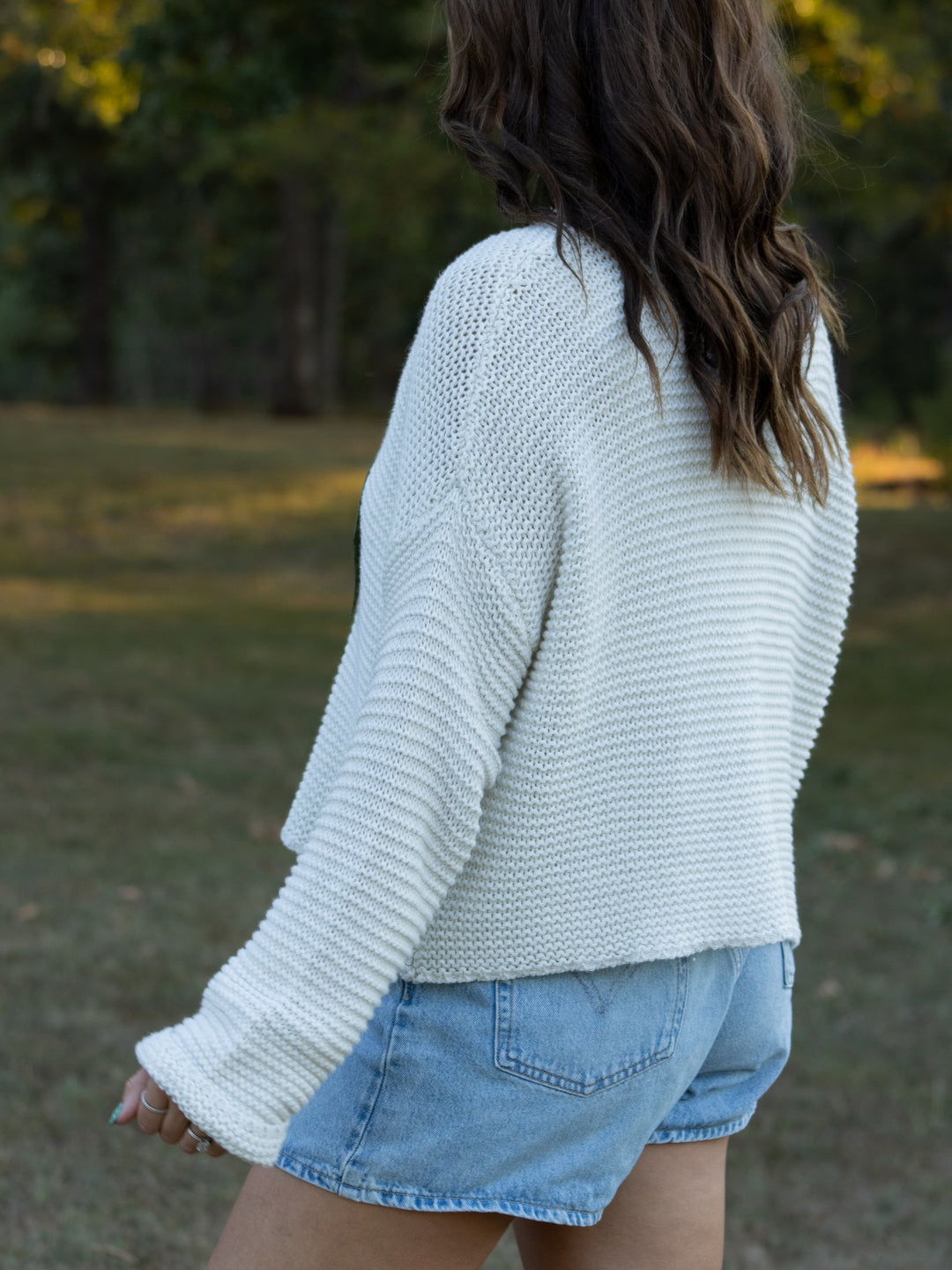 Hollis Knit Sweater