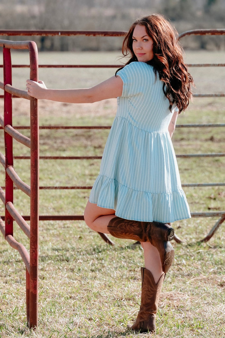 Irving Button Down Dress - Lunabelle West