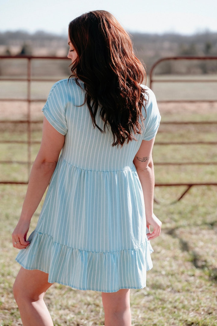 Irving Button Down Dress - Lunabelle West
