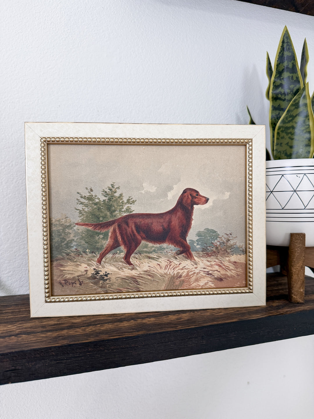 Sporting Companion Framed Art