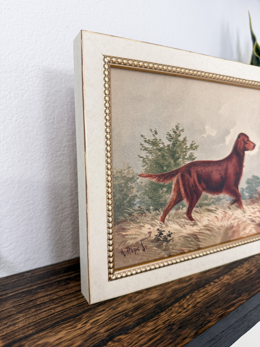 Sporting Companion Framed Art