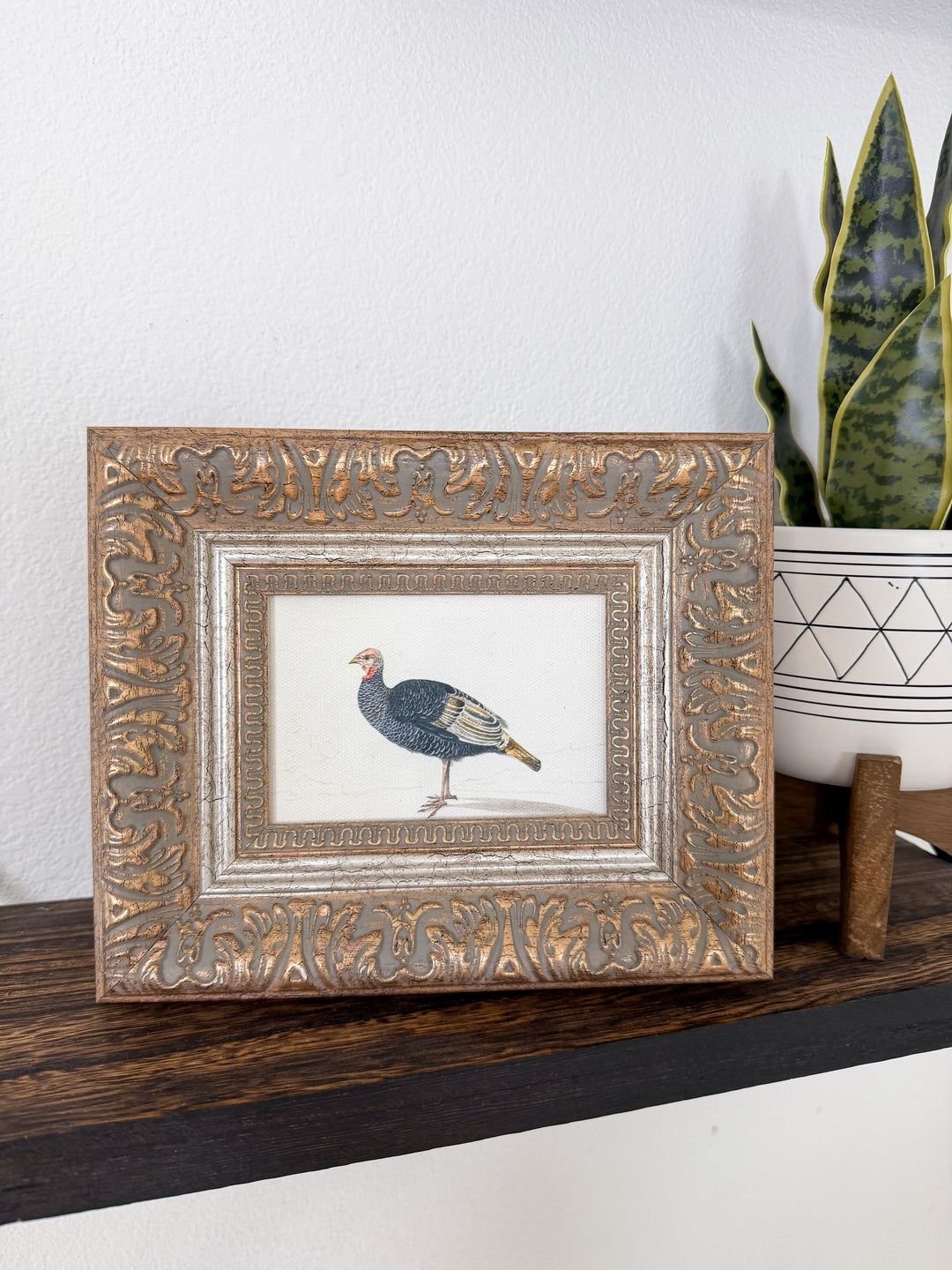 Country Estate Turkey Framed Art