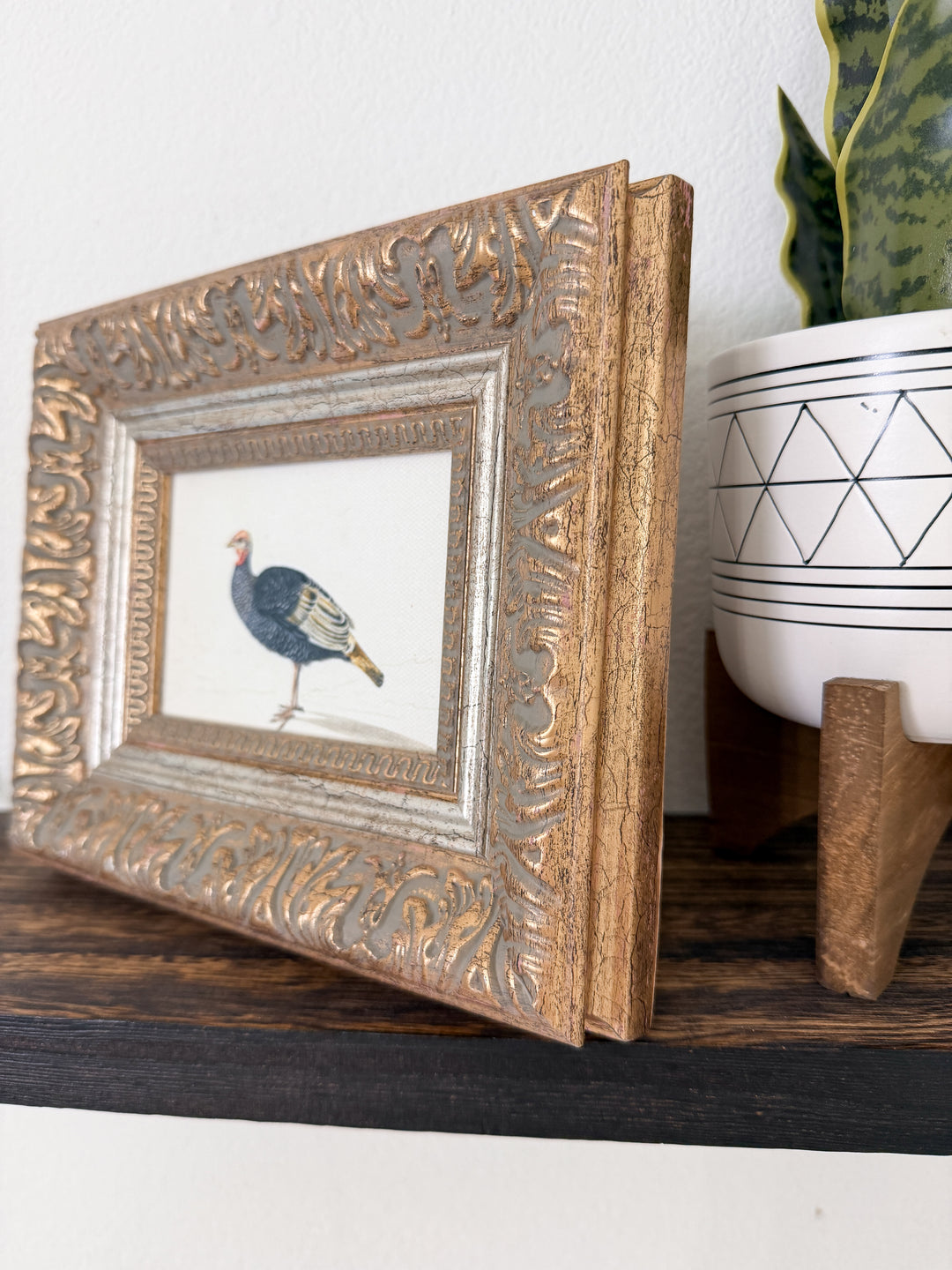 Country Estate Turkey Framed Art