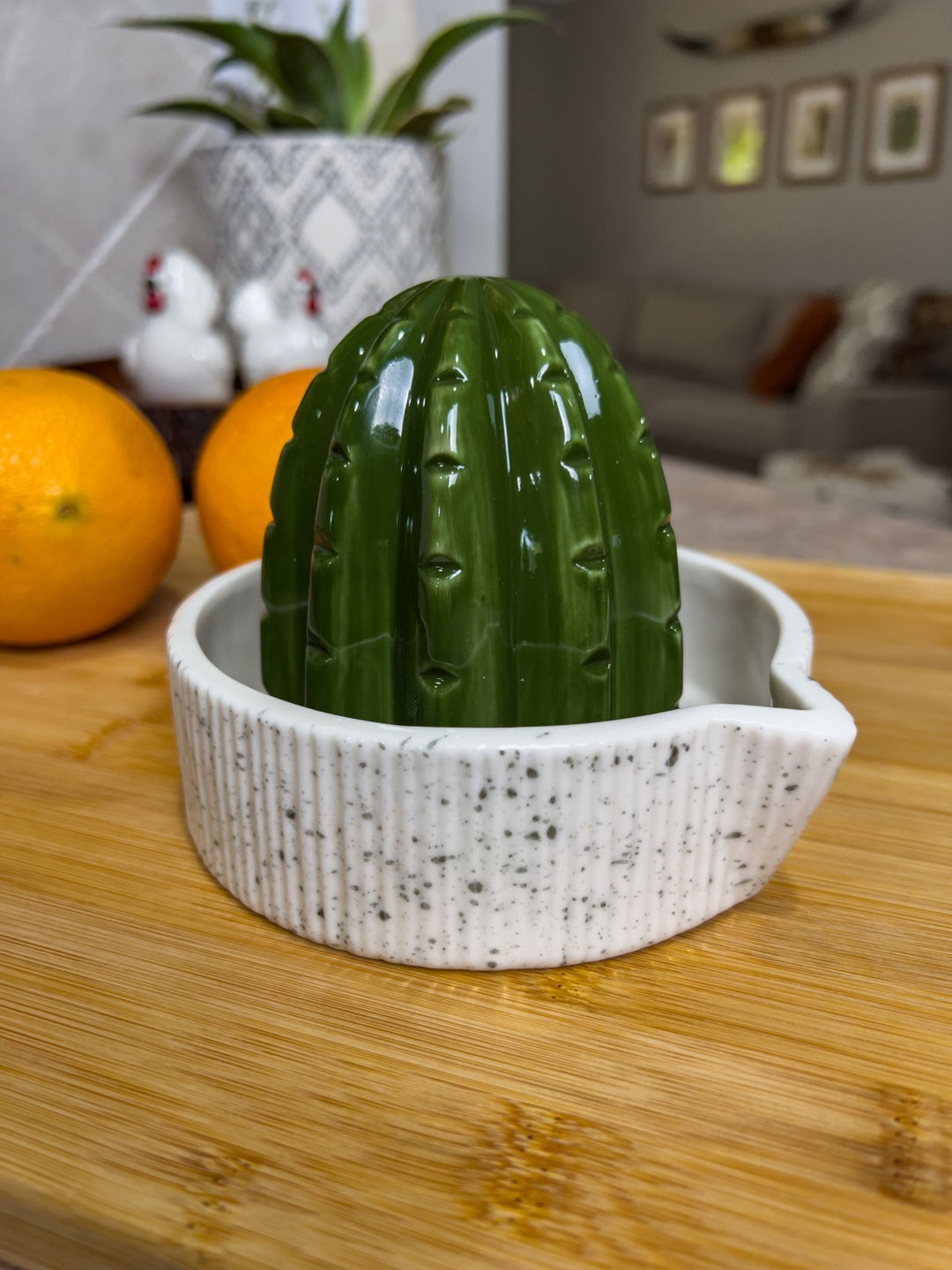 Ceramic Cactus Juicer - Lunabelle West