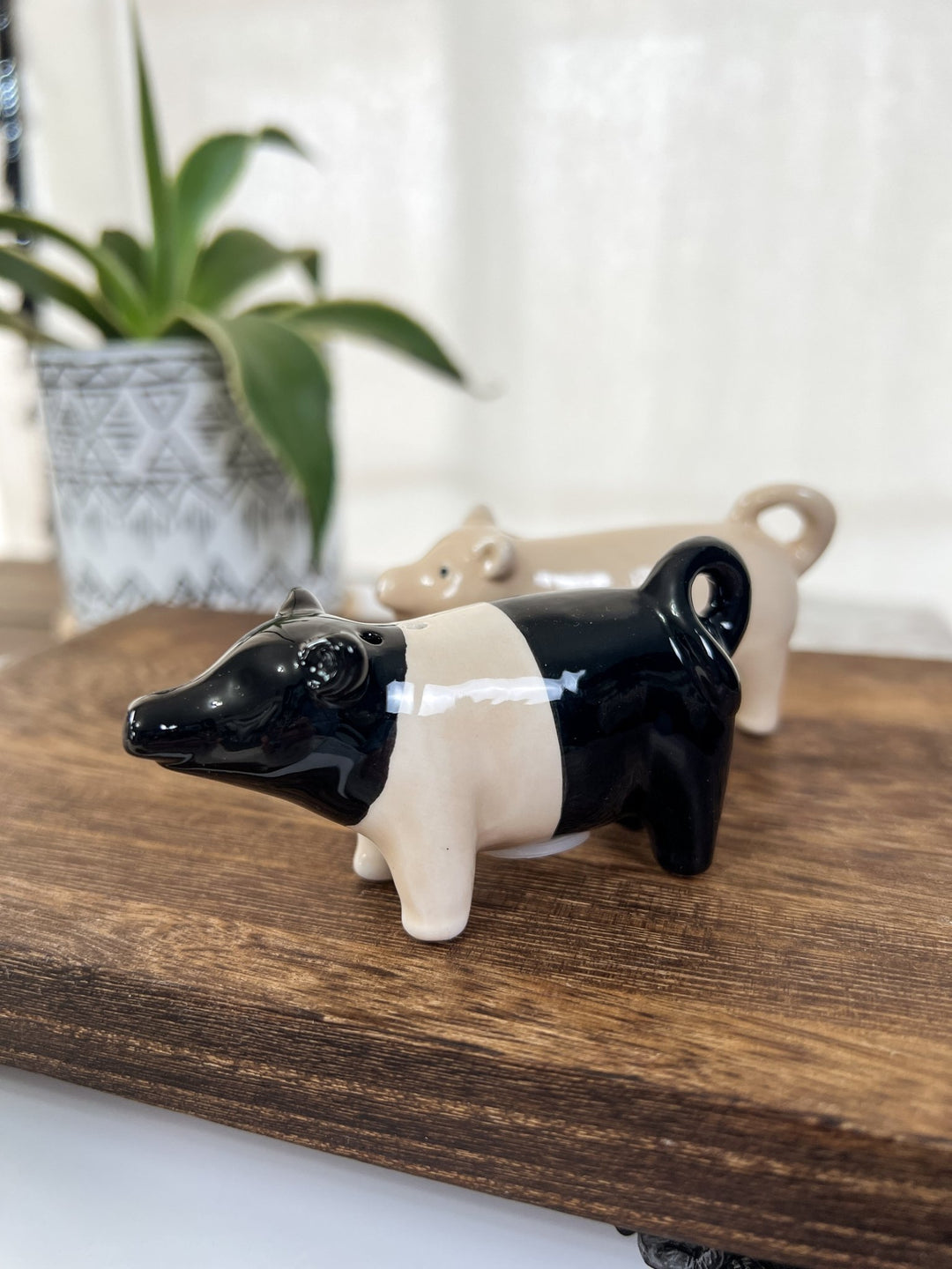 Pig Salt and Pepper Shakers - Lunabelle West