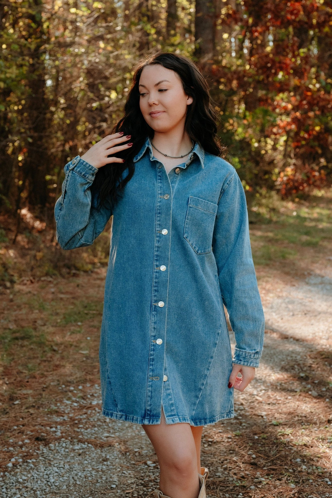 Tipton Denim Shirt Dress - Lunabelle West
