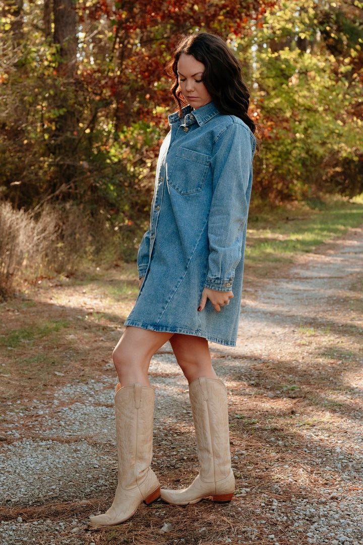 Tipton Denim Shirt Dress - Lunabelle West