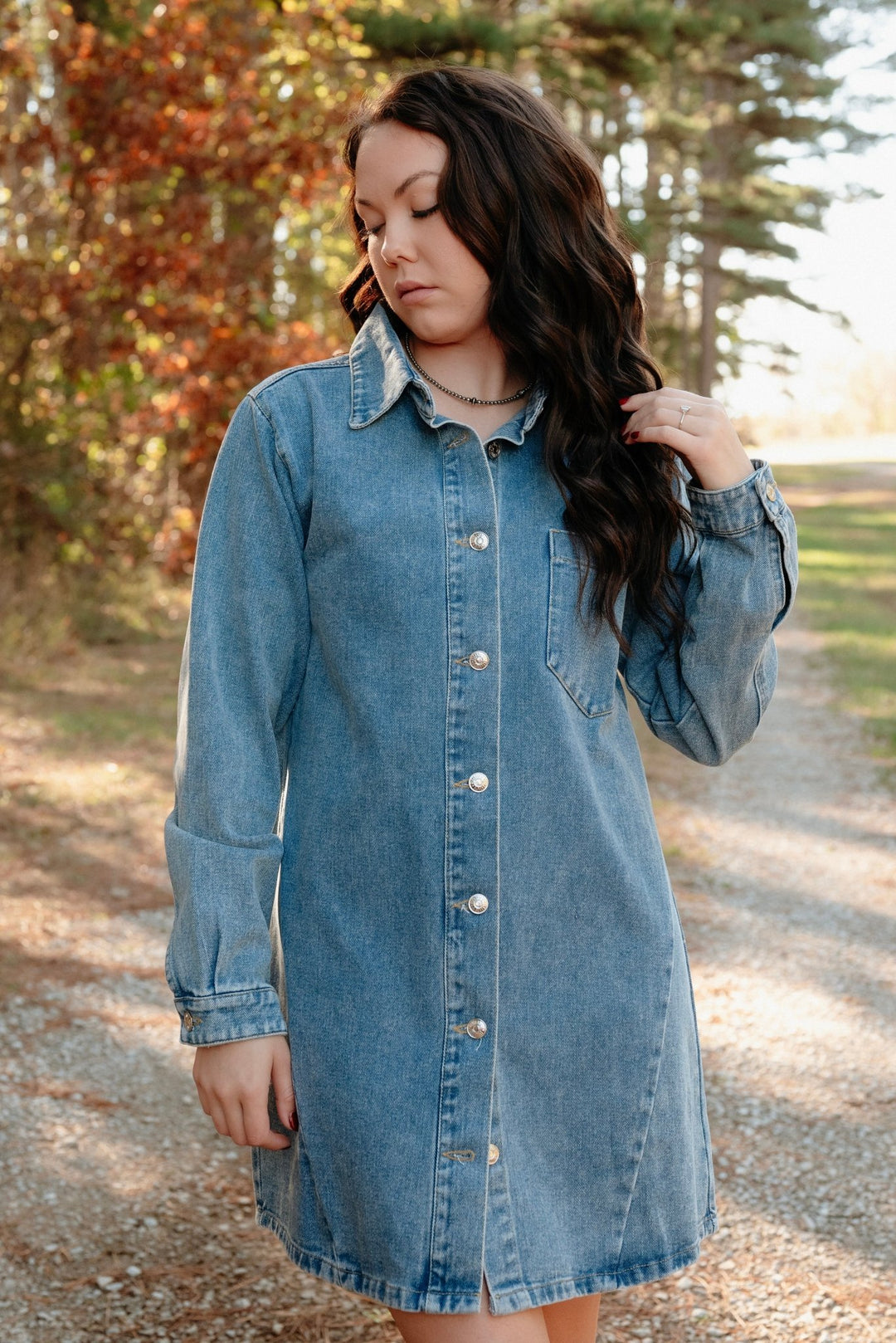 Tipton Denim Shirt Dress - Lunabelle West