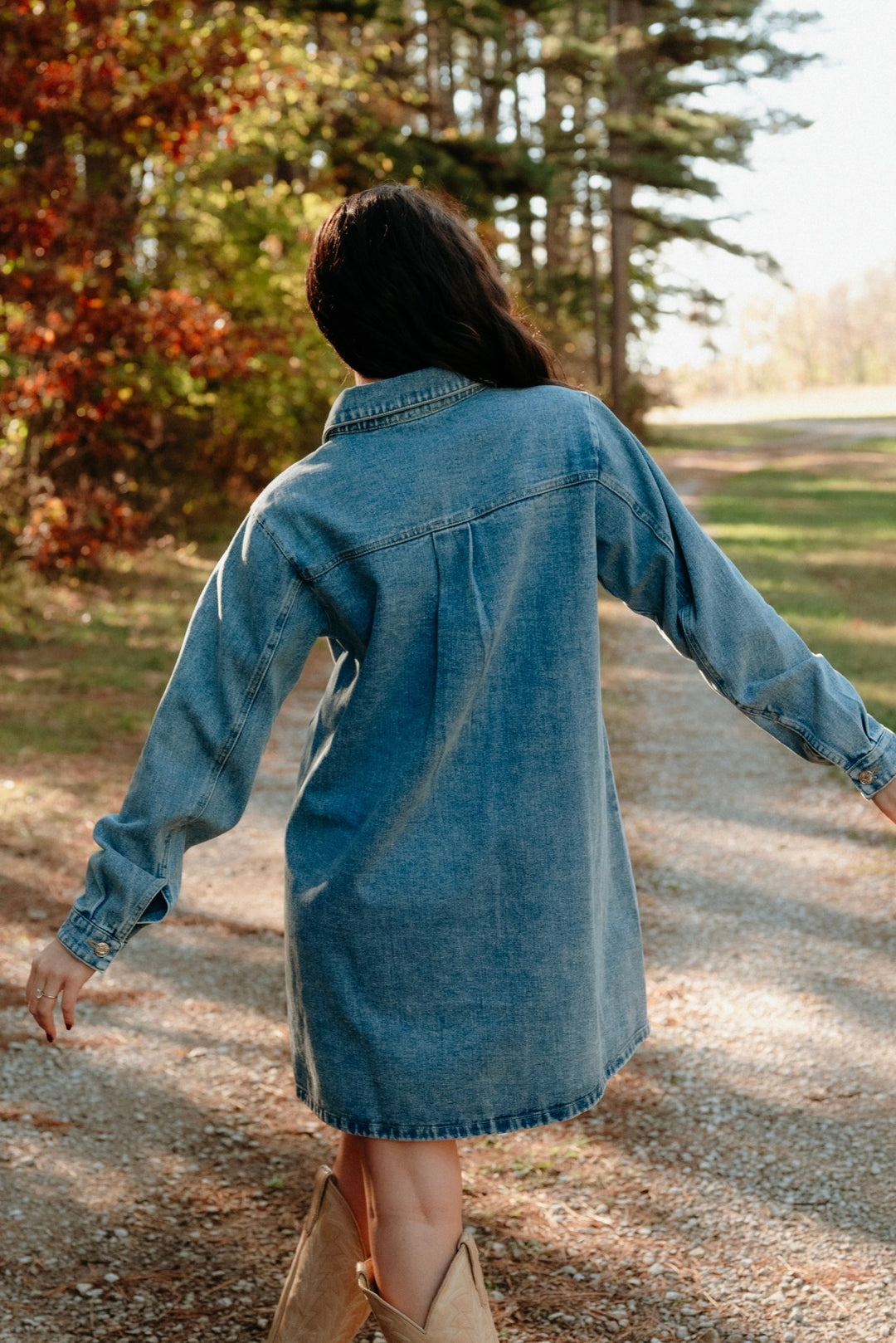 Tipton Denim Shirt Dress - Lunabelle West