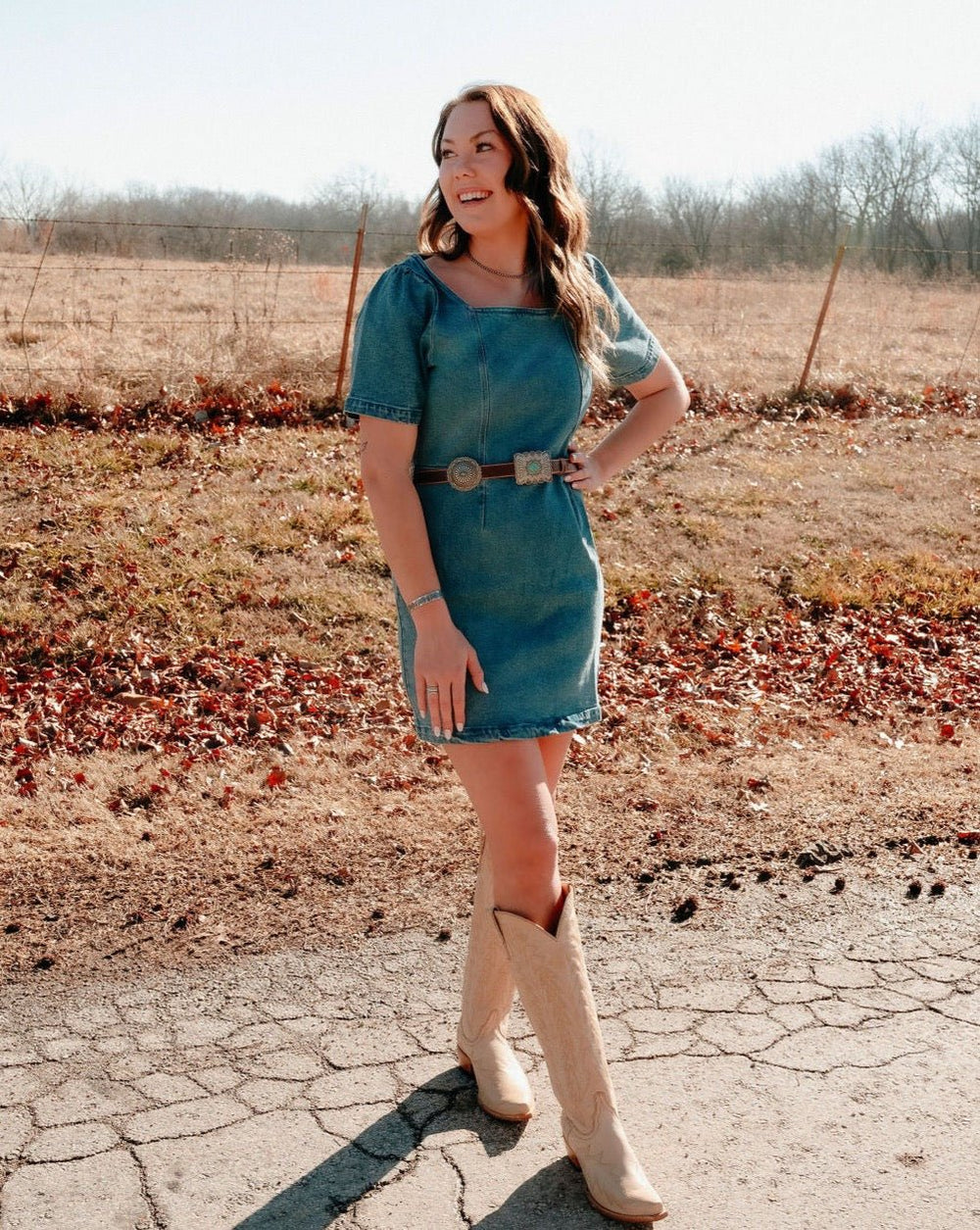 Porter Denim Dress - Lunabelle West