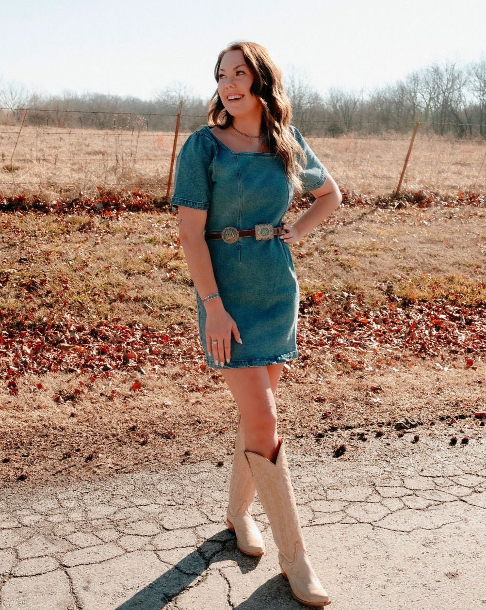 Porter Denim Dress - Lunabelle West